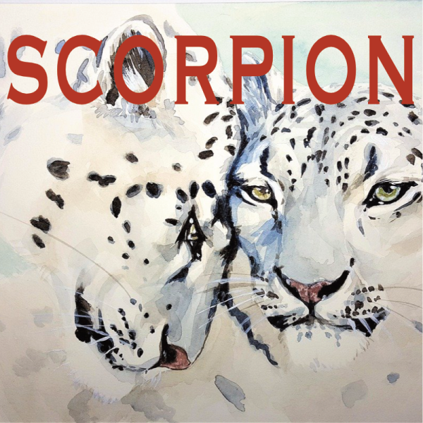 Scorpion ~ Hors série – Projection 2024 partie 1