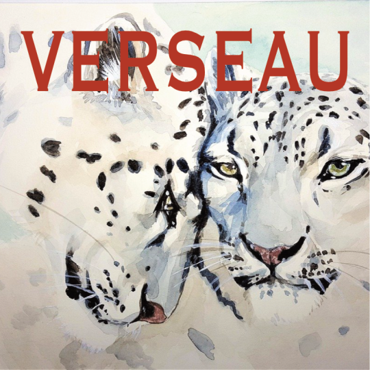 Verseau ~ Hors série - Projection 2024 partie 1