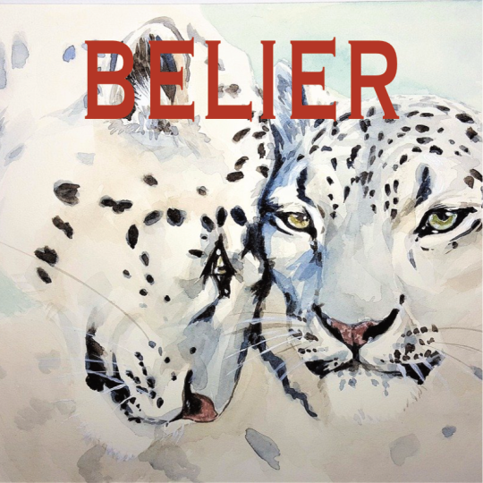 Bélier ~ Hors série – Projection 2024 partie 1