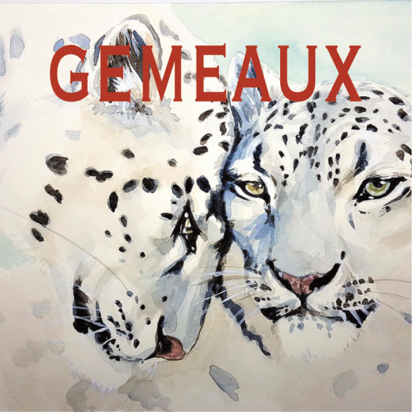 Gémeaux ~ Hors série - Projection 2024 partie 1