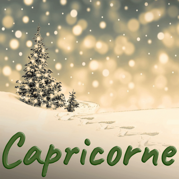 Capricorne décembre 2023