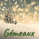 Gémeaux décembre 2023