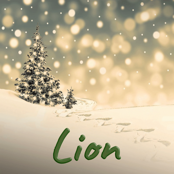 Lion décembre 2023