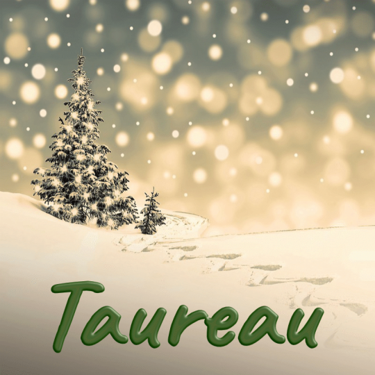 Taureau décembre 2023