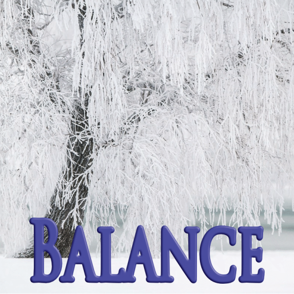 Balance janvier 2024