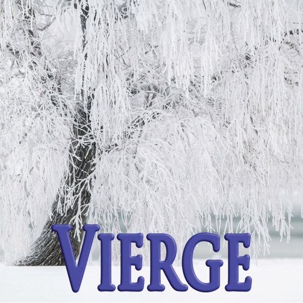 Vierge janvier 2024