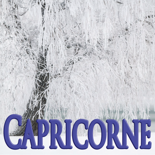 Capricorne janvier 2024