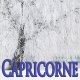 Capricorne janvier 2024