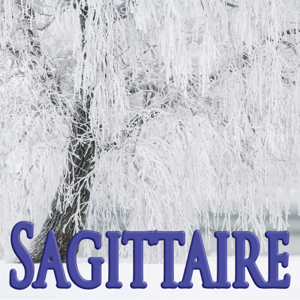 Sagittaire janvier 2024