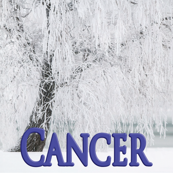 Cancer janvier 2024