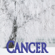 Cancer janvier 2024