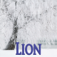 Lion janvier 2024