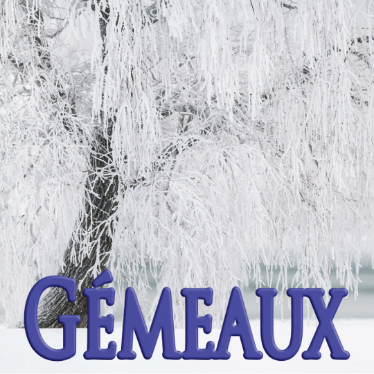 Gémeaux janvier 2024