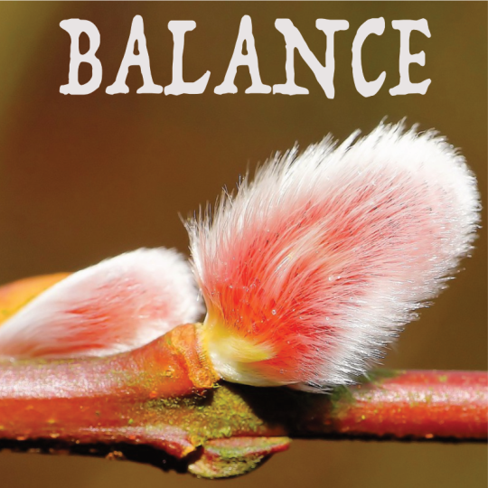 Balance février 2024