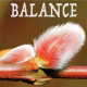 Balance février 2024