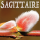Sagittaire février 2024