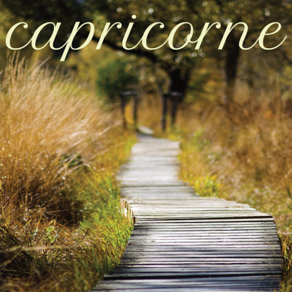 Capricorne mars 2024