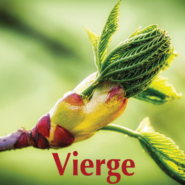 Vierge avril 2024
