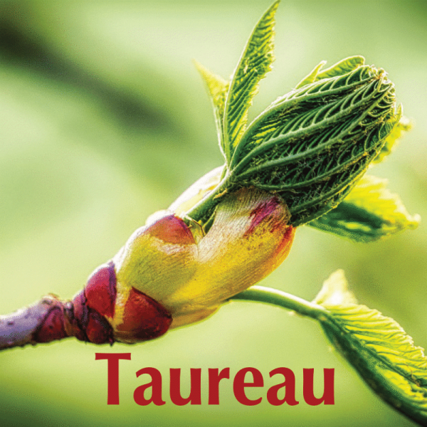 Taureau avril 2024