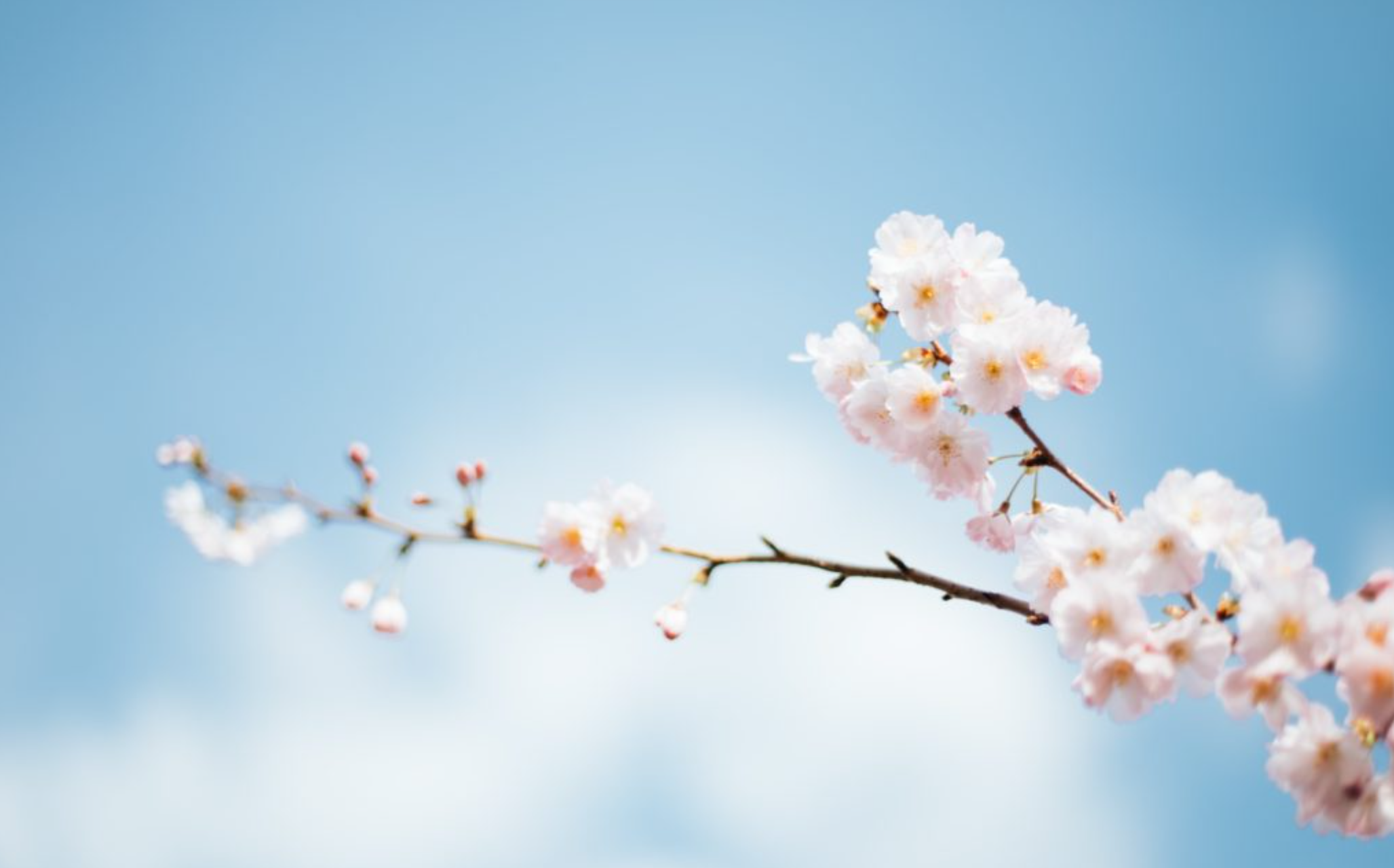 anthony-delanoix-urUdKCxsTUI-unsplash