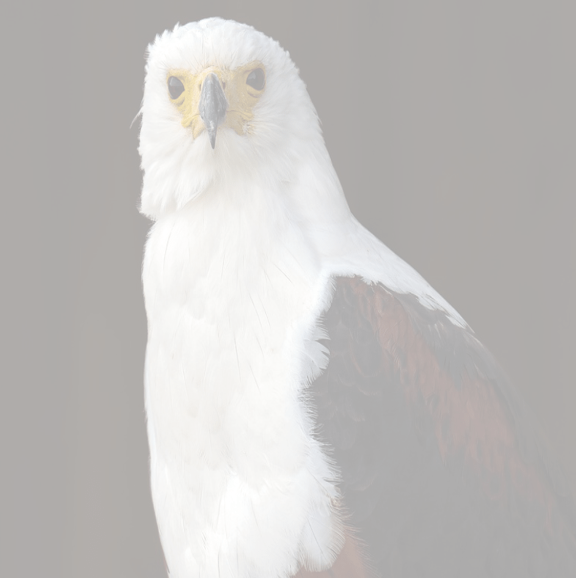 Projection 2026 partie 1