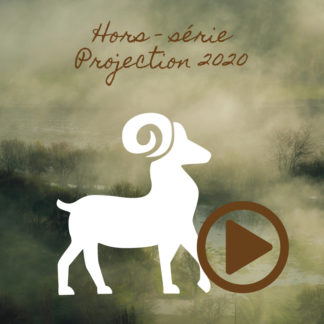 Bélier ~ Hors série - Projection 2020 partie 1