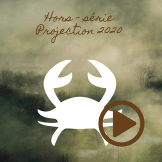 Cancer~ Hors série - Projection 2020 partie 1