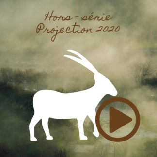 Capricorne ~ Hors série - Projection 2020 partie 1