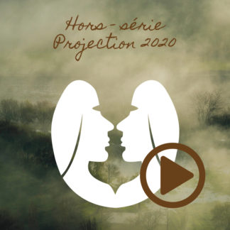 Gémeaux ~ Hors série - Projection 2020 partie 1
