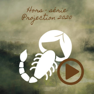 Scorpion ~ Hors série - Projection 2020 partie 1