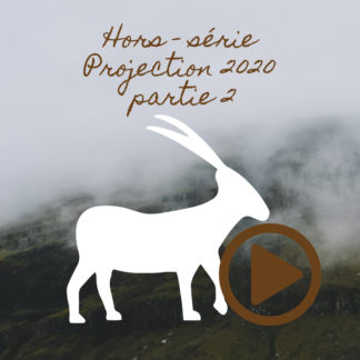 Capricorne ~ Hors série - Projection 2020 partie 2