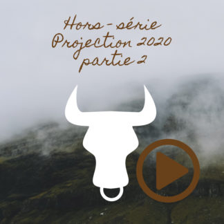 Taureau ~ Hors série – Projection 2020 partie 2