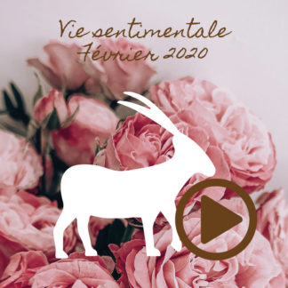 Capricorne ~ Hors série - Vie sentimentale Février 2020