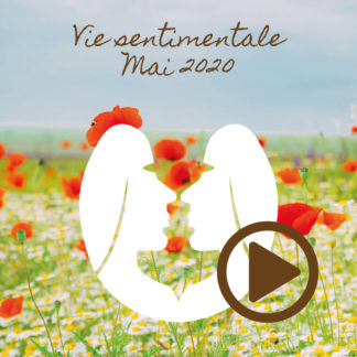 Gémeaux ~ Hors série - Vie sentimentale Mai 2020