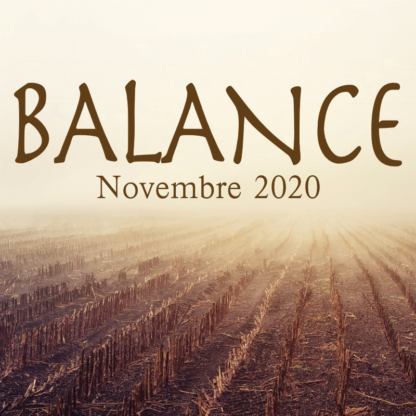 Balance Novembre 2020