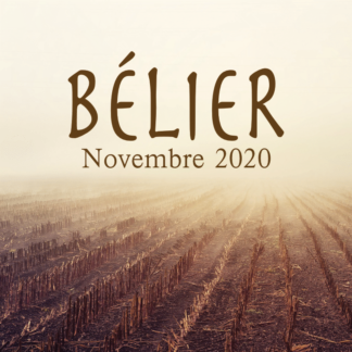 Bélier Novembre 2020