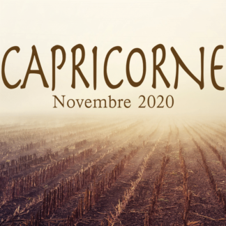 Capricorne novembre 2020