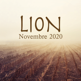 Lion novembre 2020