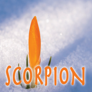 Scorpion mars 2021