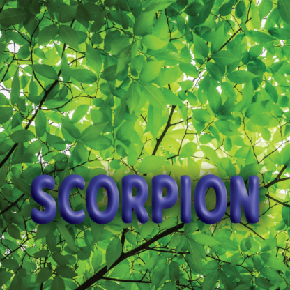 Scorpion avril 2021