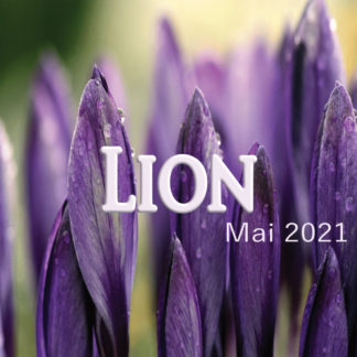 Lion mai 2021