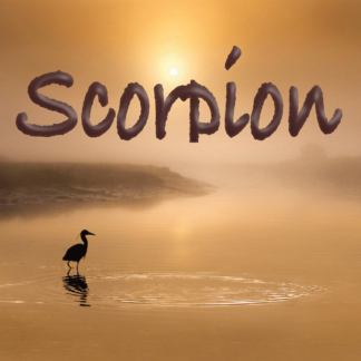Scorpion juin 2021