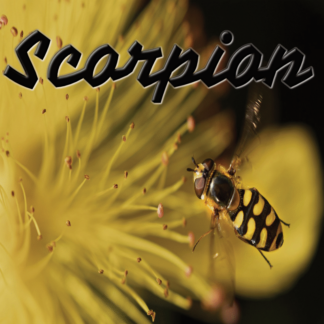 Scorpion août 2021