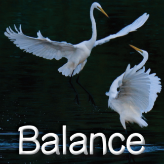 Balance VSC oct.-nov. 2021