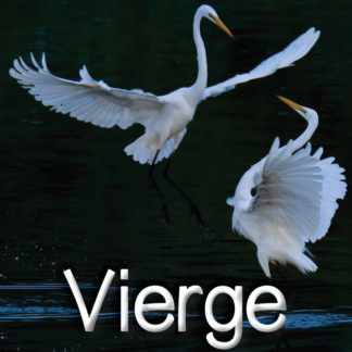 Vierge VSC oct-nov 2021