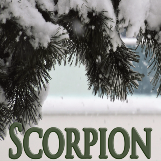 Scorpion décembre 2021