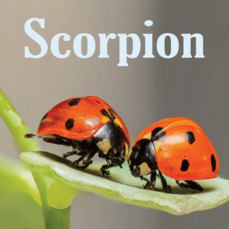 Scorpion VS mai juin 2022