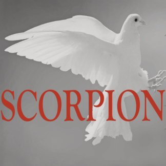 Scorpion Projection 2022 partie 2