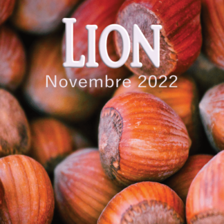 Lion novembre 2022