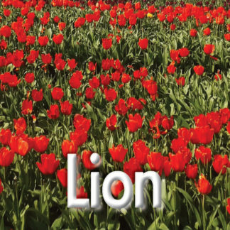 Lion mars 2023